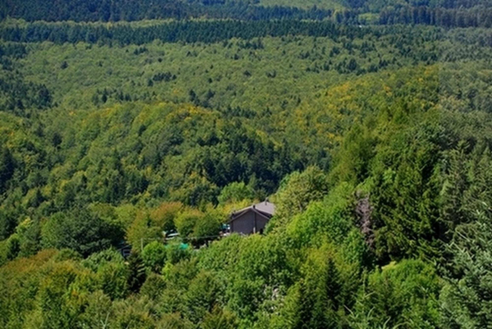 B&B Bucaneve 阿贝托内 外观 照片